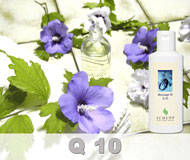 Q 10