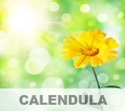 CALENDULA Paraffinfrei